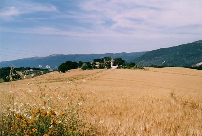 Villa Casale Santomanno Acquasparta Esterno foto