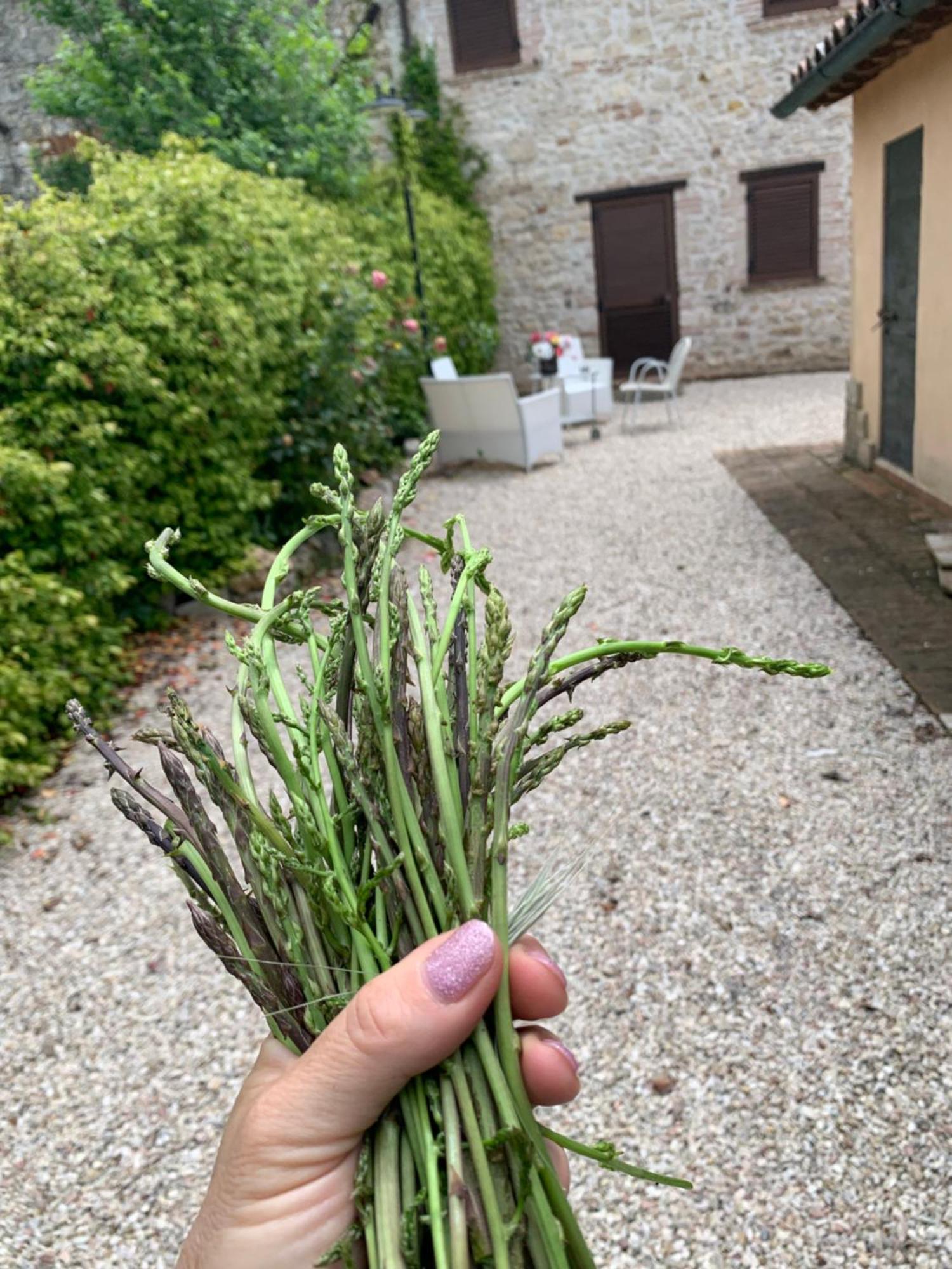 Villa Casale Santomanno Acquasparta Esterno foto