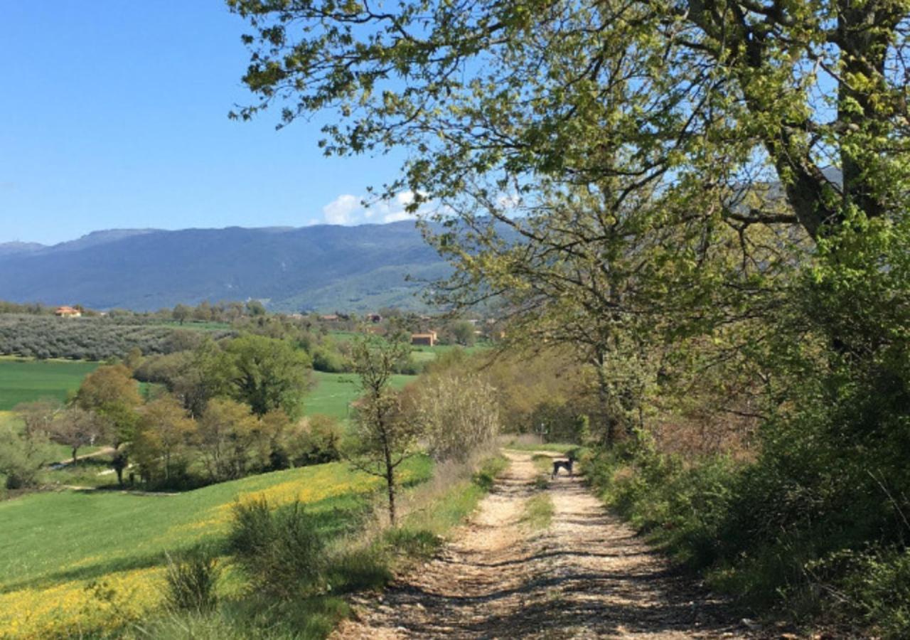 Villa Casale Santomanno Acquasparta Esterno foto